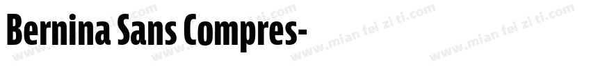 Bernina Sans Compres字体转换